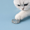 Moissanite ring