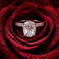 8 carat moissanite ring